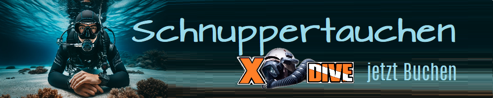 Schnuppertauchzahlung